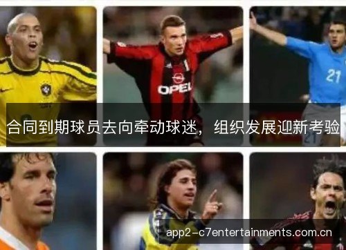 合同到期球员去向牵动球迷，组织发展迎新考验