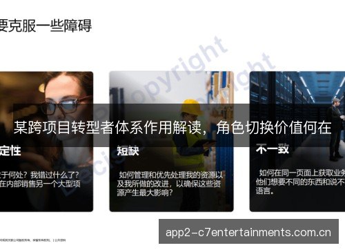 某跨项目转型者体系作用解读，角色切换价值何在